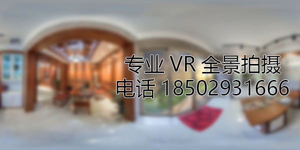 岭东VR全景技术在未来可能的发展方向和应用领域?